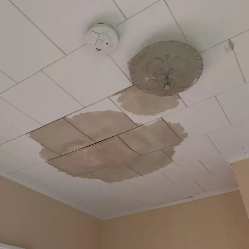 Ceiling Water Damage Repair in Sunapee, NH