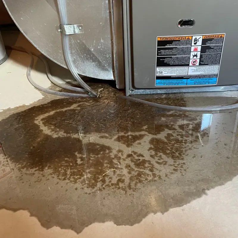 Pipe Burst and Leak Restoration in Sunapee, NH